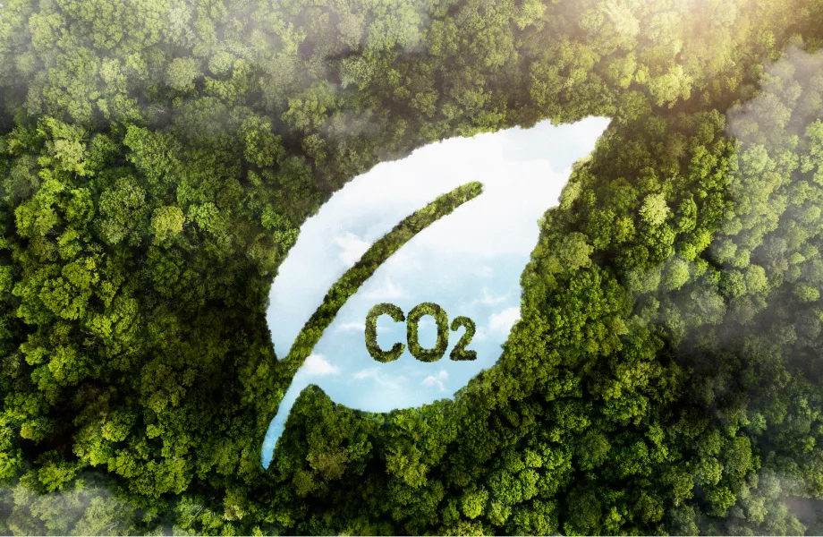 Carbon Solutions Image